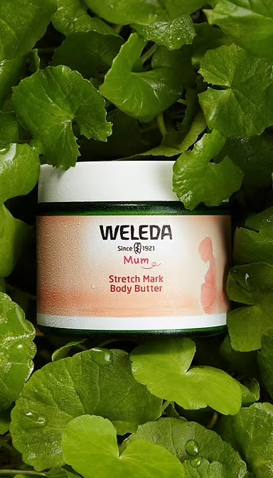 Weleda Mum Stretch Mark Body Butter Weleda