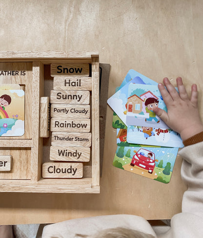 Qtoys Weather Play Kit