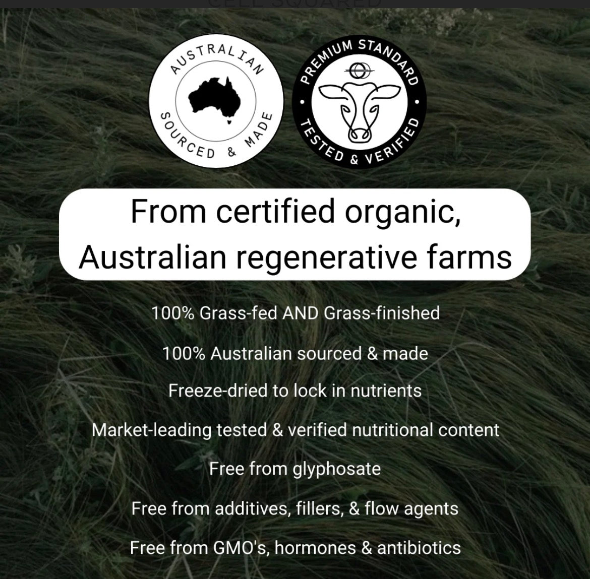 Organic Grass Fed Kidney Capsules Cell Squared